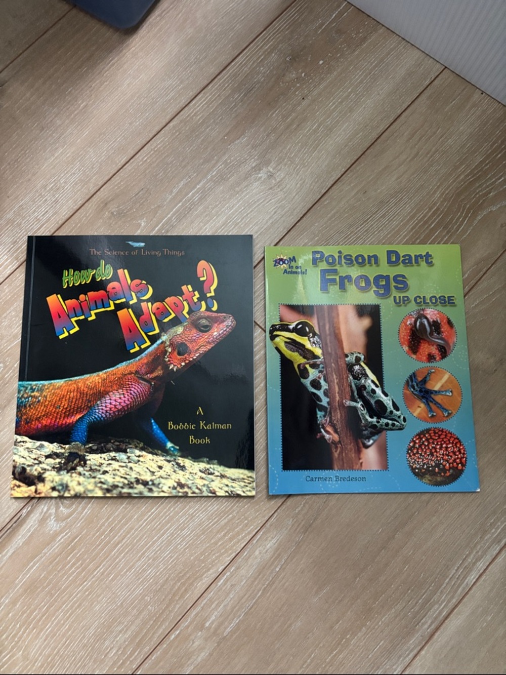 Poison Dart Frogs & Reptile Book for Kids